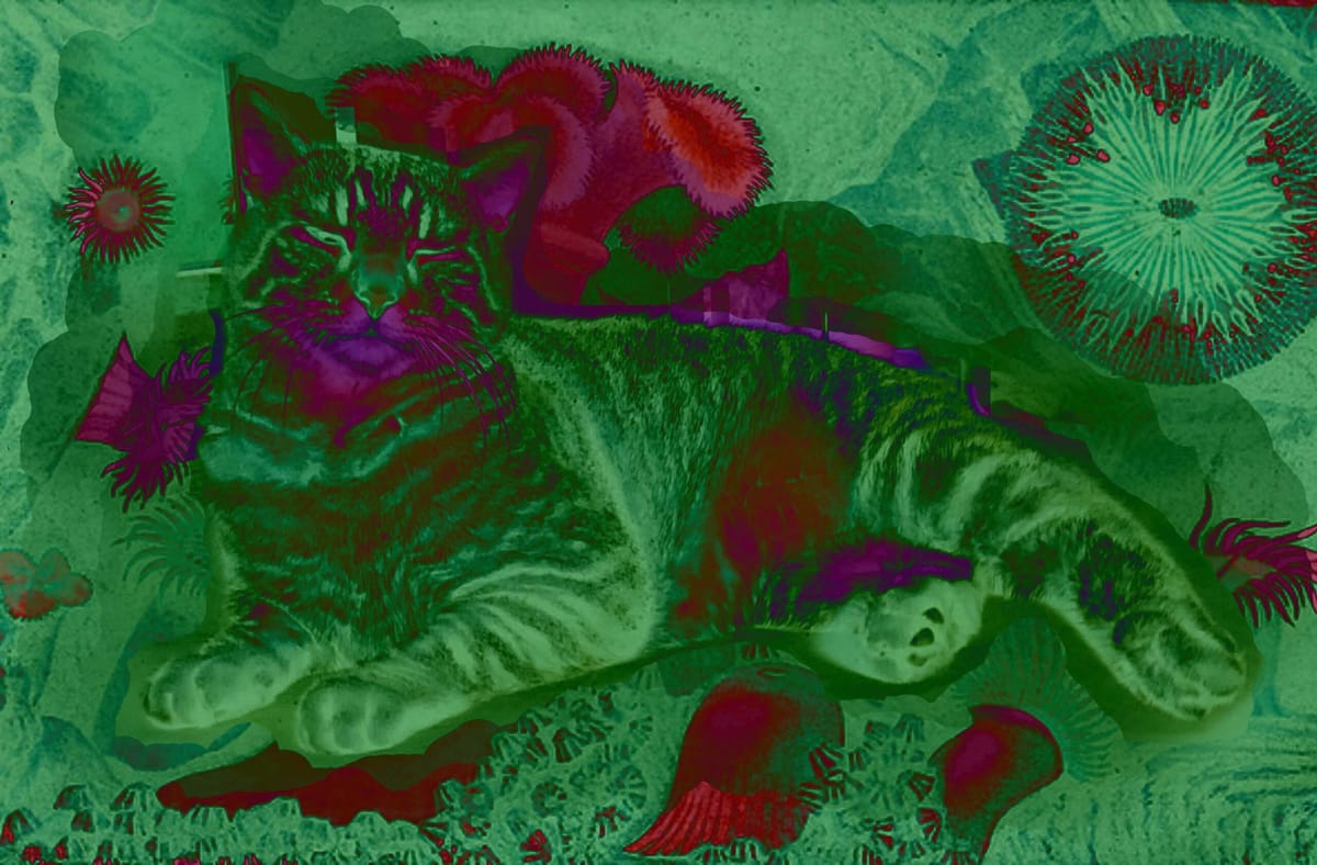 A psychedelic image of a large tabby cat sprawled in the middle of a fungal forest. Everything is fluorescent green and red.