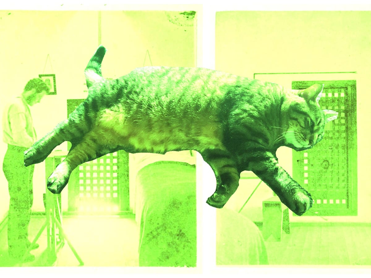 A large flat cat flops through the air across a stereoscopic image of two views of an 1800s prison cell. The image is green.