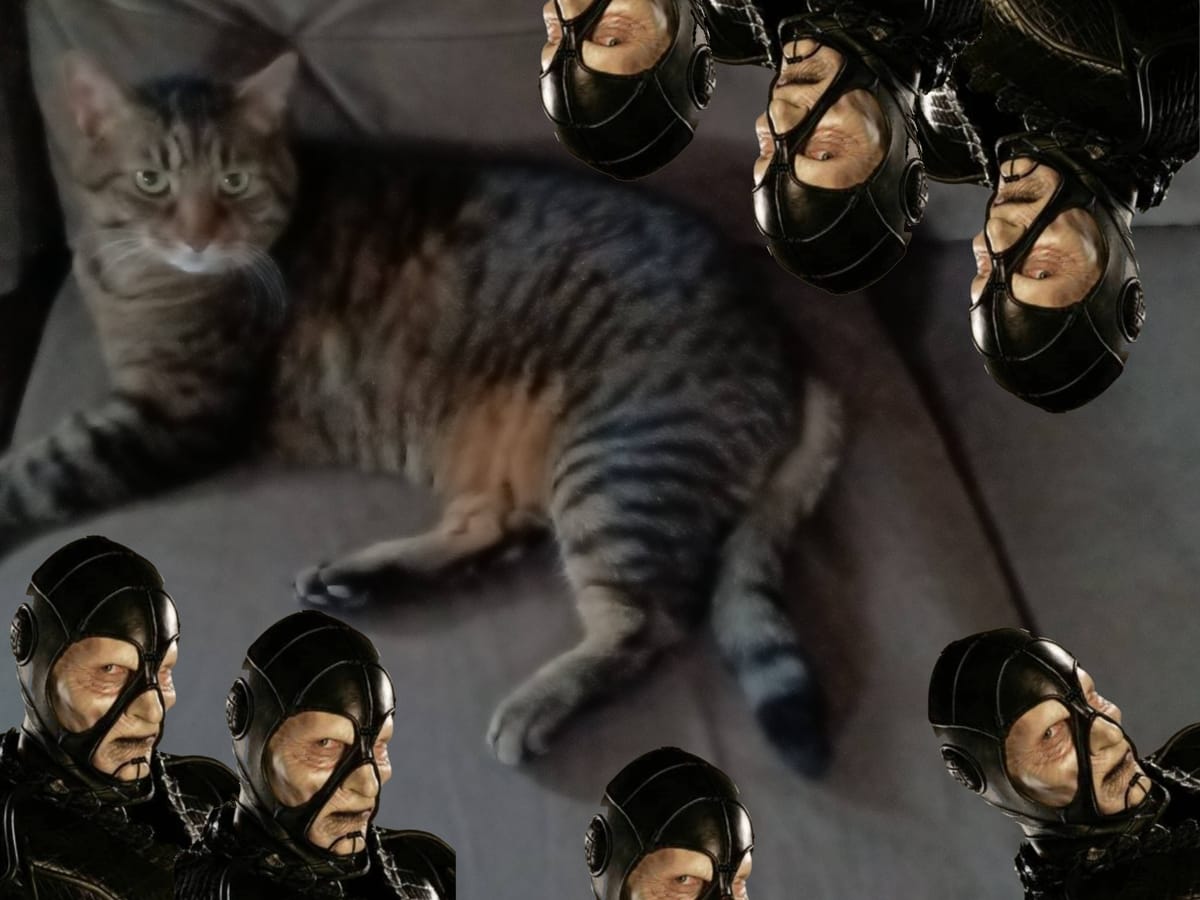 A blurry photograph of a large tabby cat sitting on a brown couch. Around the cat in all directions hovers the head and shoulders of Farscape villain Scorpius.