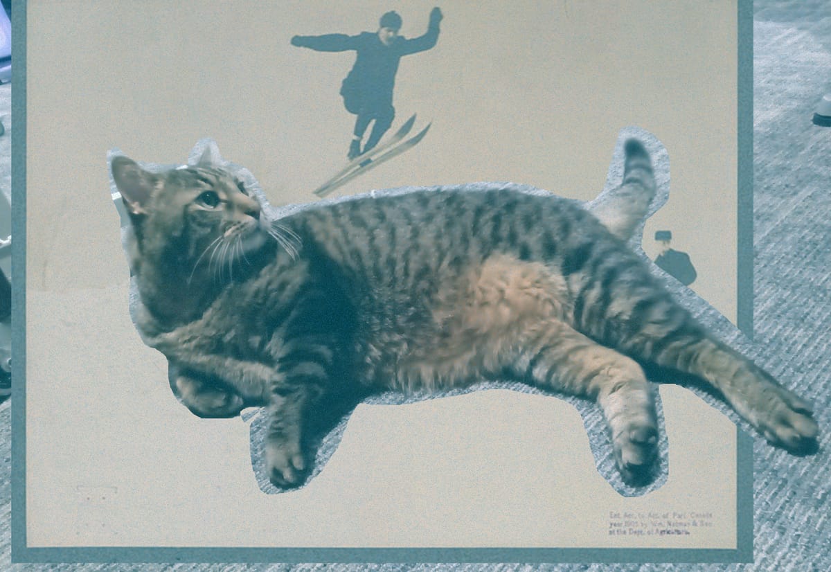 A large tabby cat lays on grey carpet. Overlaid like a cutout is a vintage photo of a ski-jumper, jumping over the cat.