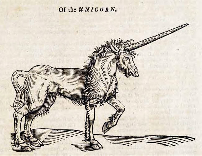 A pen-and-ink drawing of a unicorn, viewed side-on. The unicorn has a long horn and a wild mane.